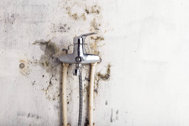 Scott Af, IL Mold Removal Pros