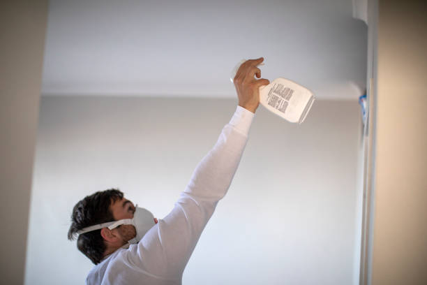 Best Mold Remediation for Schools in Scott Af, IL