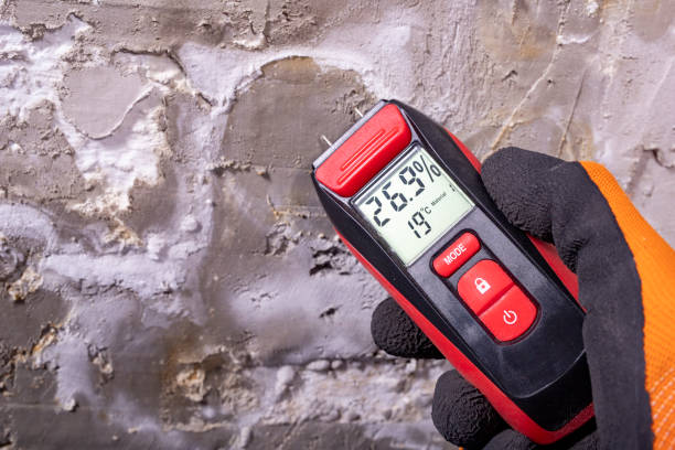 Best Health and Safety Mold Remediation in Scott Af, IL