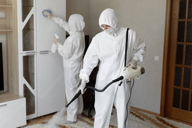 Best Residential Mold Remediation in Scott Af, IL